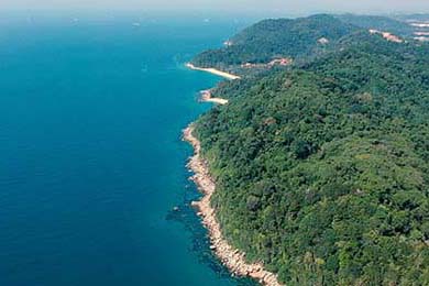 英超比赛中心理教练介入频次与球队表现关联，英超 主教练