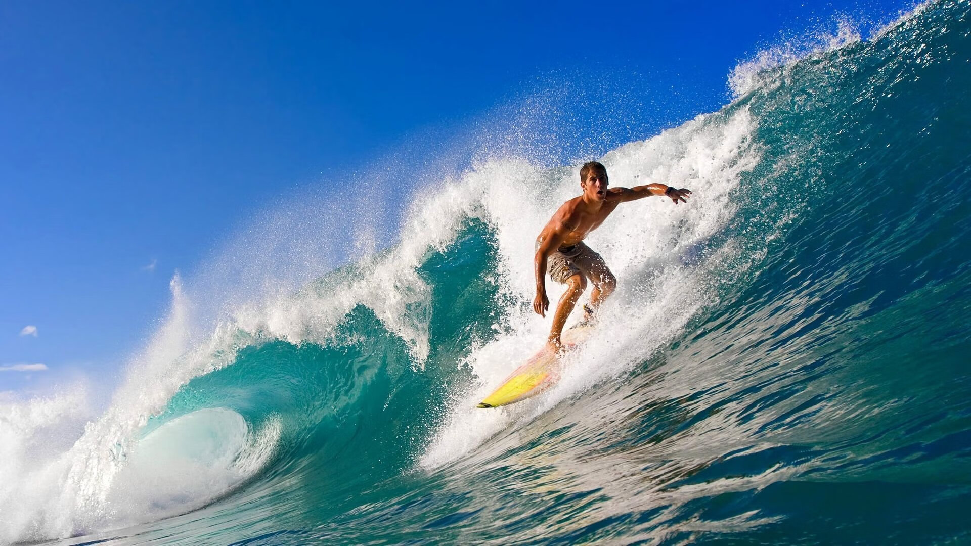 荷兰水球小组赛中连续取胜，荷兰水球小组赛中连续取胜的是谁